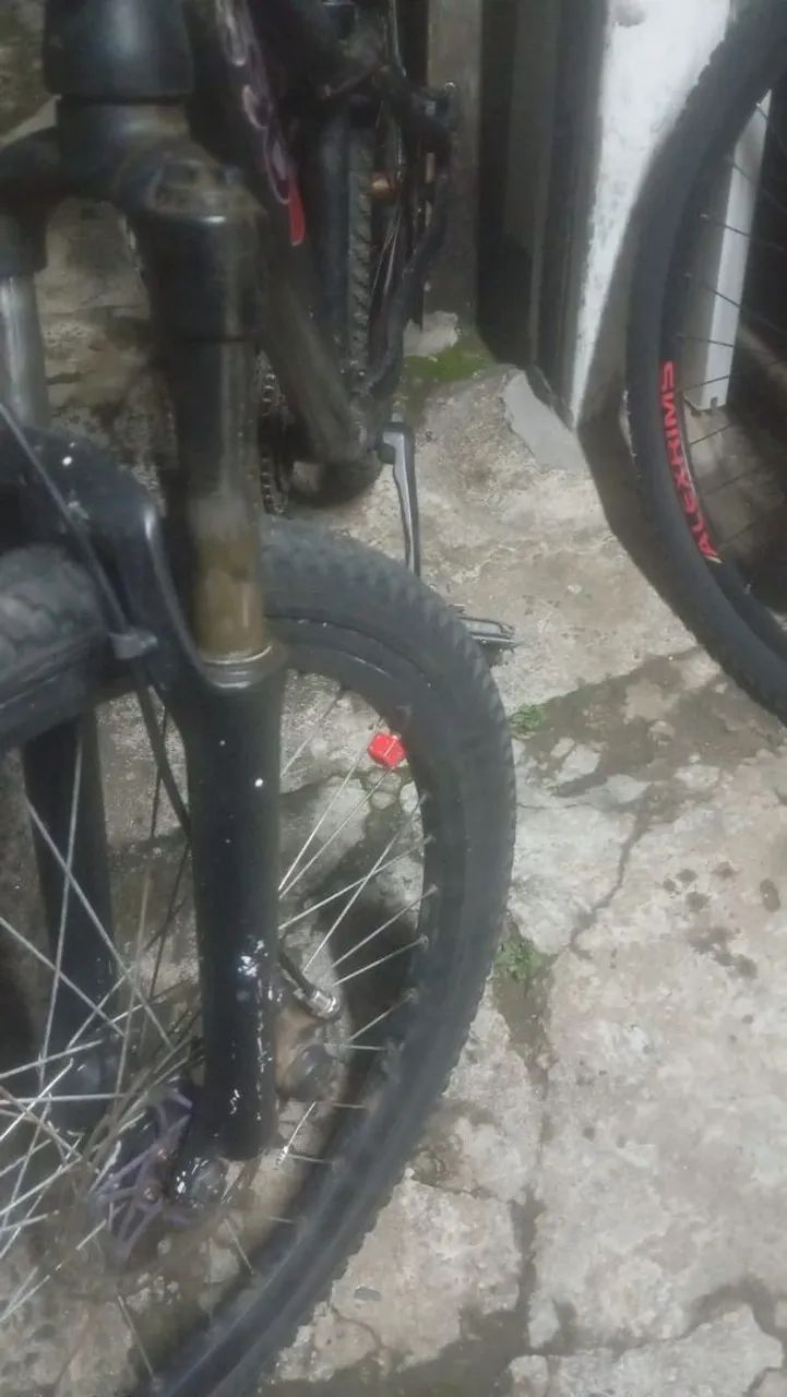Bicicleta  - Foto 2