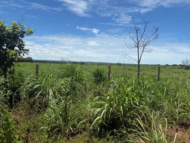 Chácara 02 alqueires, ou seja 10 hectares Projeto Prata - Foto 4