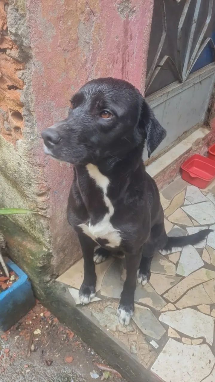 Doação - Foto 2