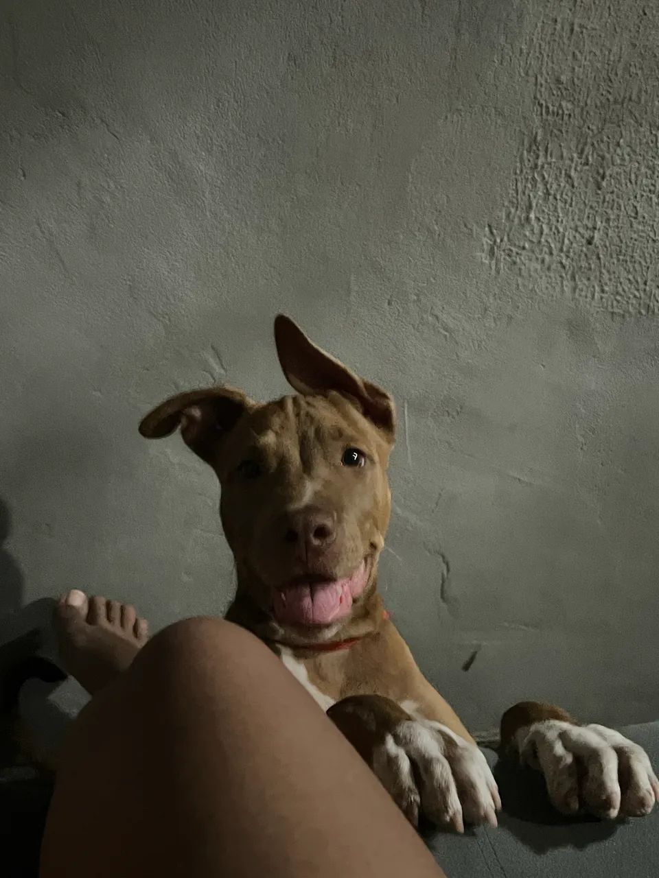350$  - Foto 3