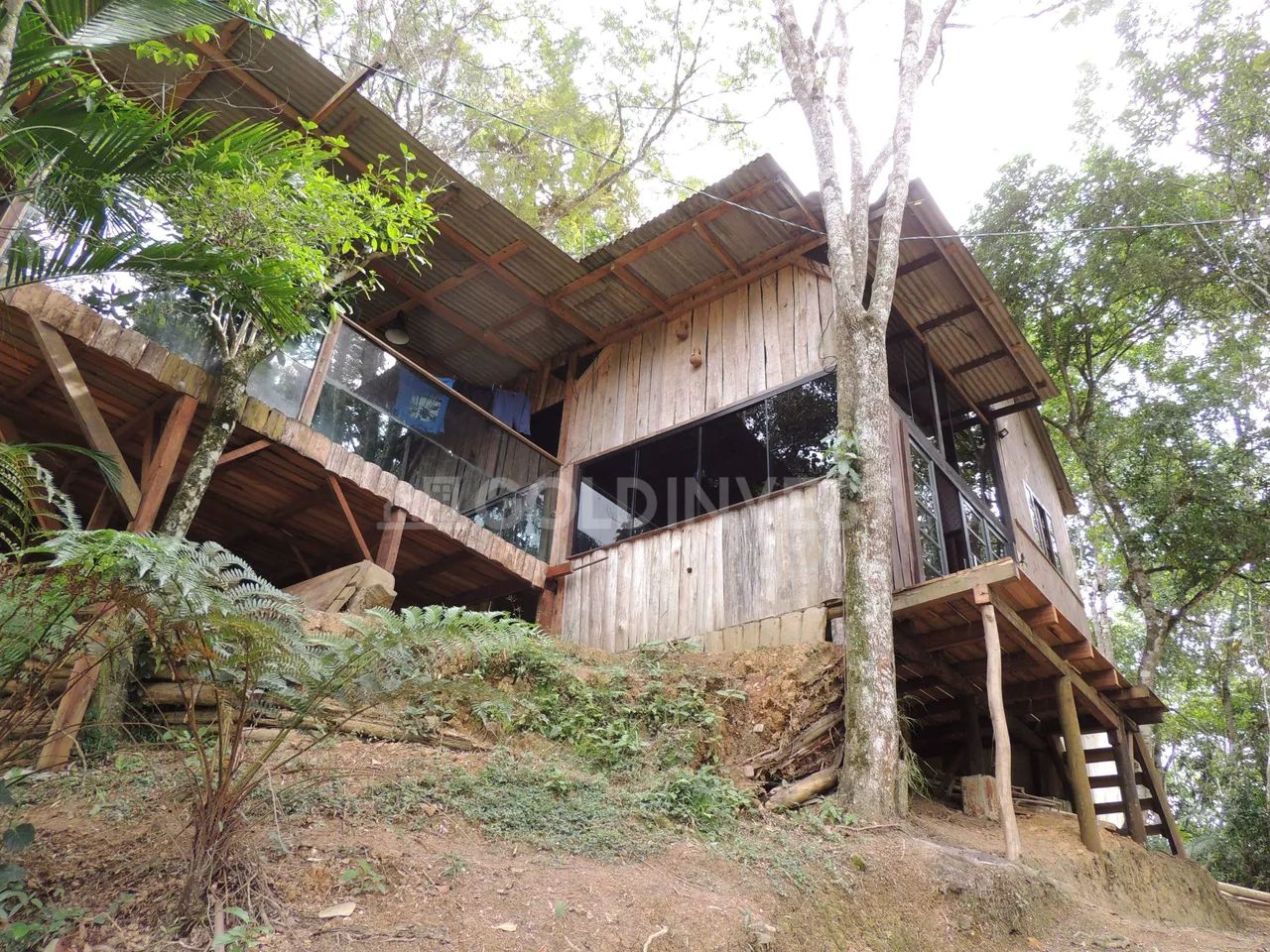 Sitio na Limeira com 10.000,00 m² - Foto 4