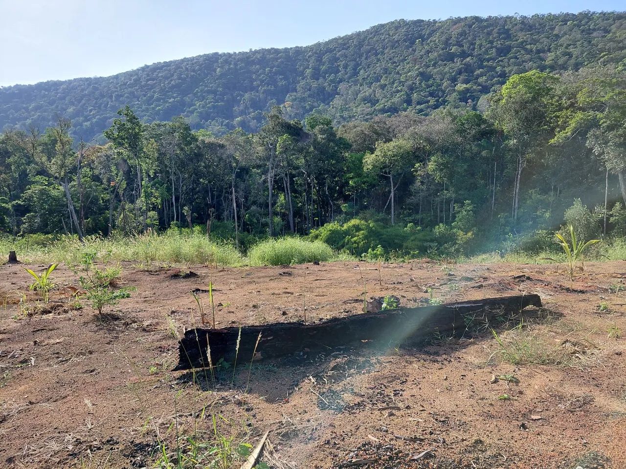 Vendo um terreno na vicinal 1 da apiau - Foto 3