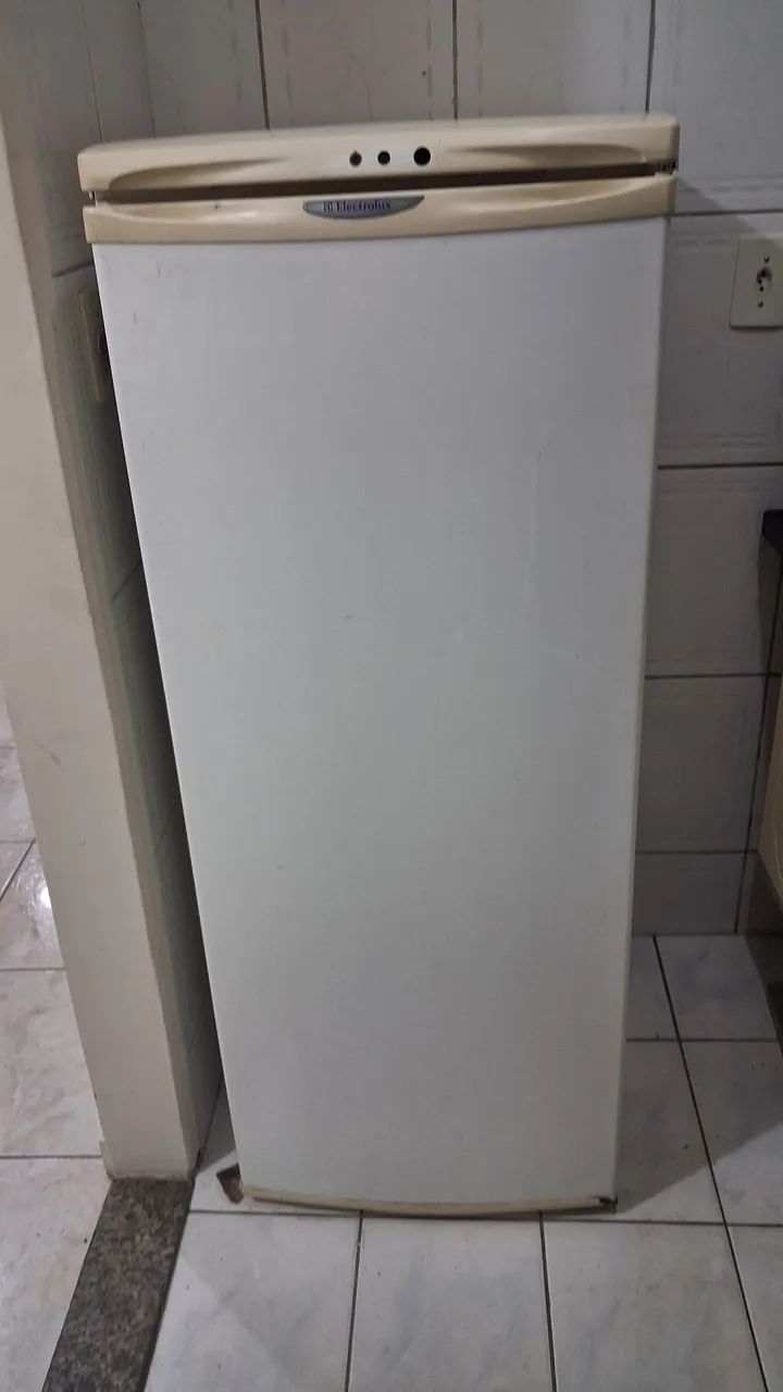 Electrolux R250  - Foto 3