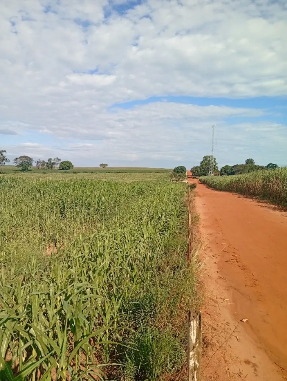 12 alqueires em Mariluz Pr