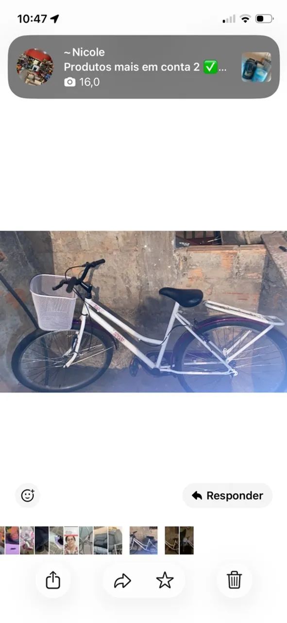 Vendo bicho nova