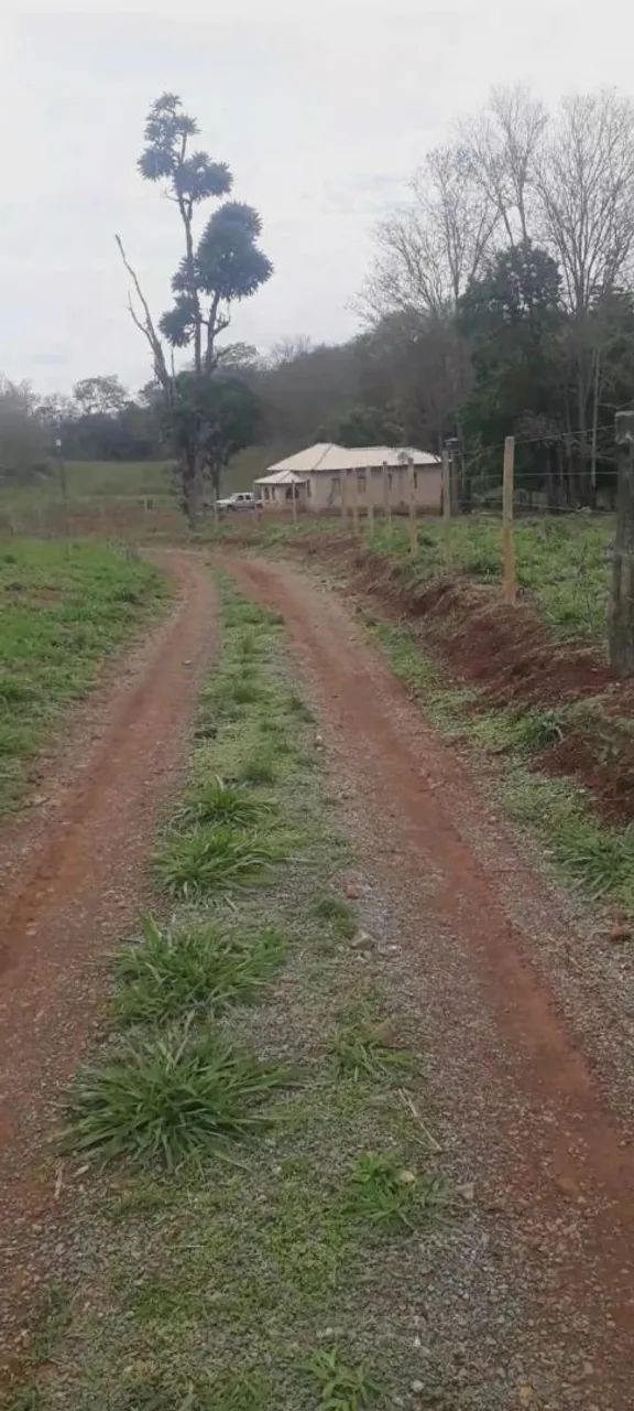 Fazenda em Pains-Minas Gerais - Foto 3