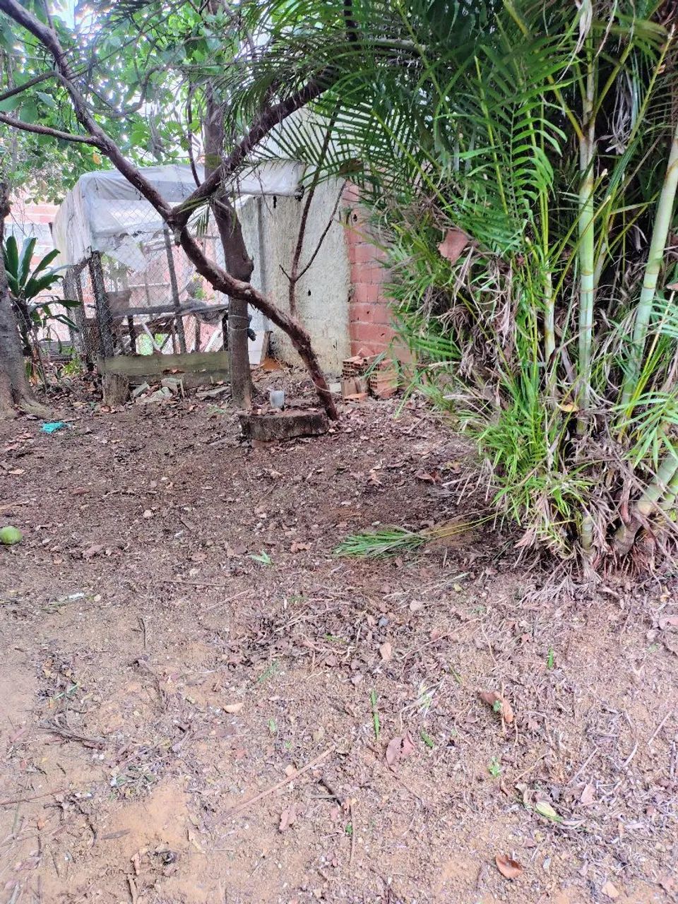 Foto - Salvador - Jardim das Margaridas