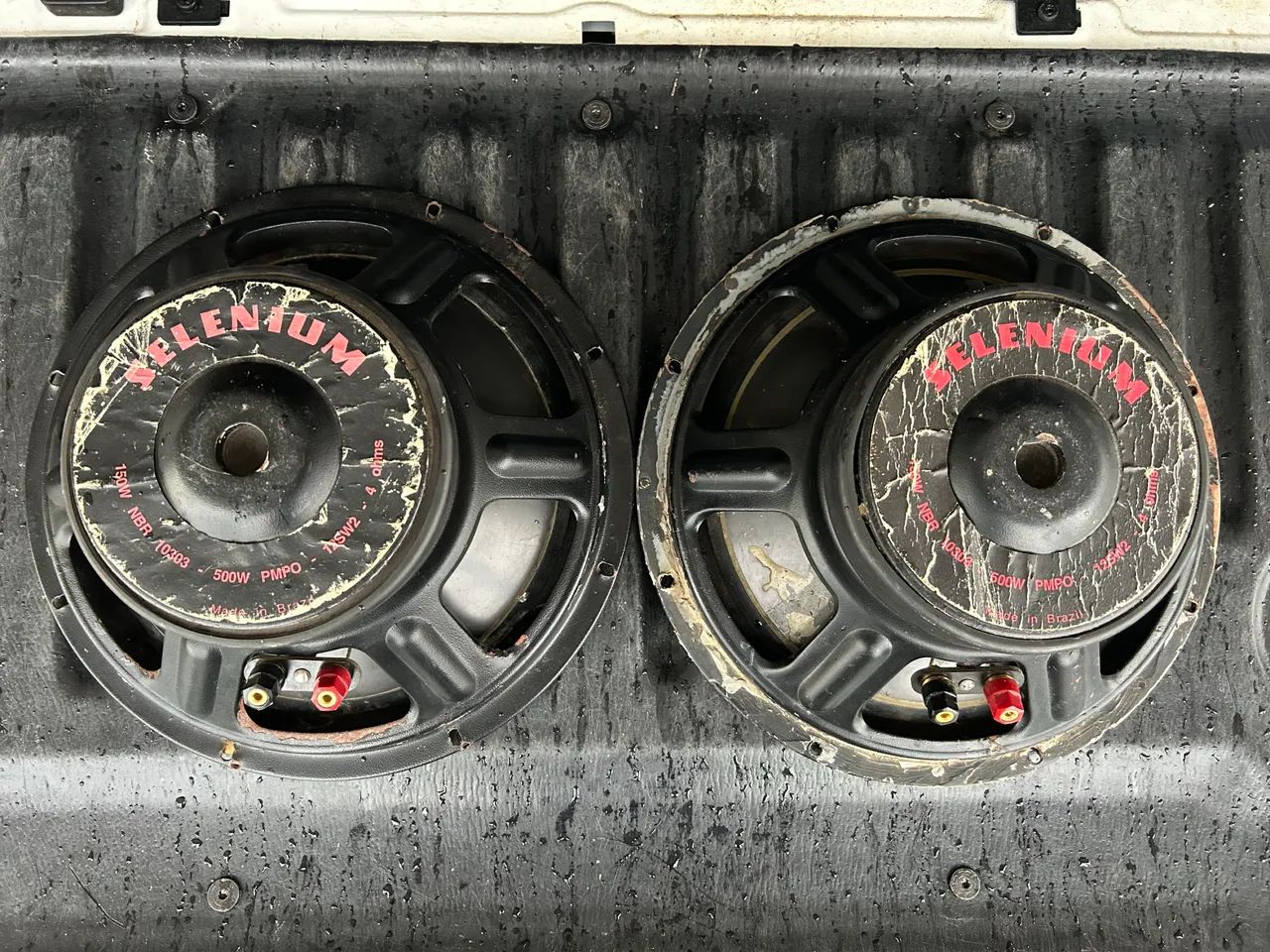 Selenium Bass - Foto 5