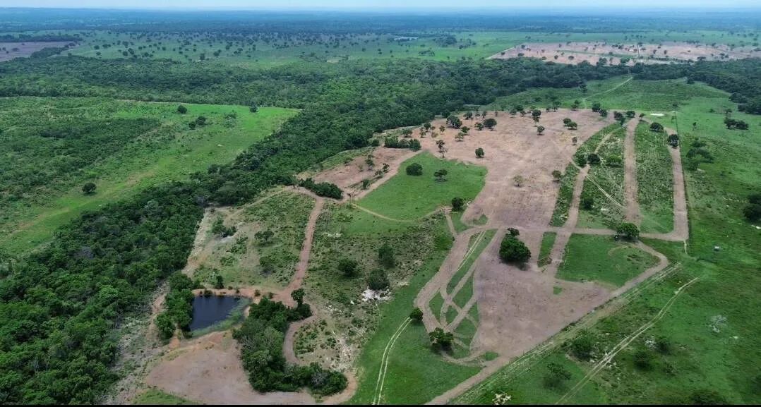 Fazenda a Venda de 646 Hectares próxima a Cuiaba MT - Foto 4
