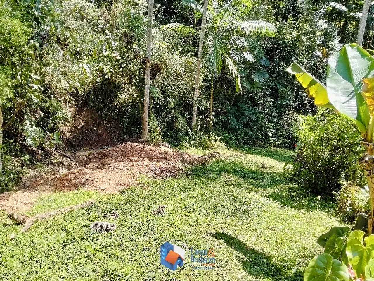 ARRENDAMENTO DE SITIO COM NASCENTE, ÁREA PARA PLANTIO, CASA COM 3 DORMITÓRIOS, CASEIRO, CO - Foto 5