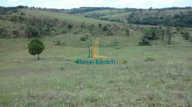 Fazenda 90KM de Eunápolis - Foto 10