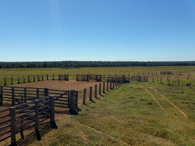 Fazenda no município de Itaúba -MT 1.457 hectares com 457 aberto - Foto 8