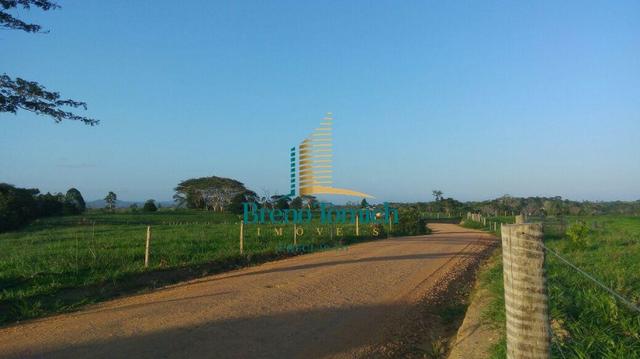 Fazenda á 80KM de Eunápolis - Foto 11
