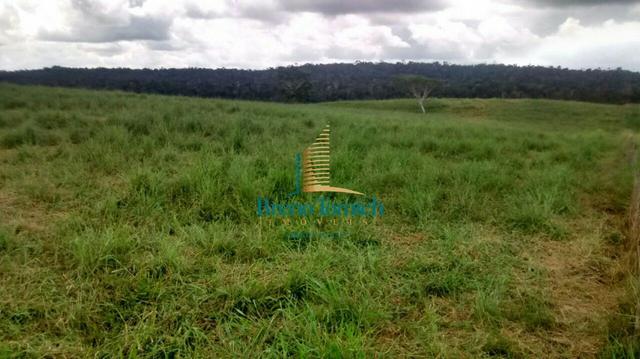 Fazenda em Santa Maria Eterna - Foto 19