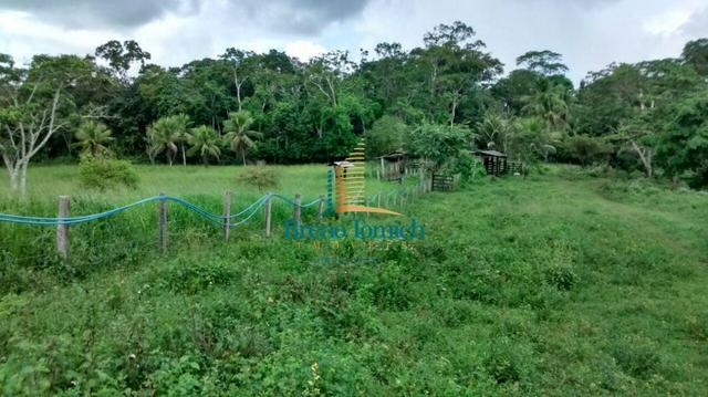 Fazenda em Santa Maria Eterna - Foto 13