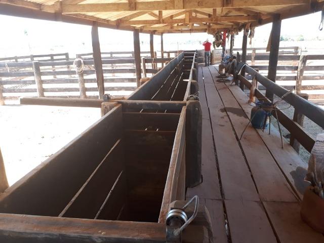 Fazenda de 220 alqueire em Novo Mundo -MT - Foto 4