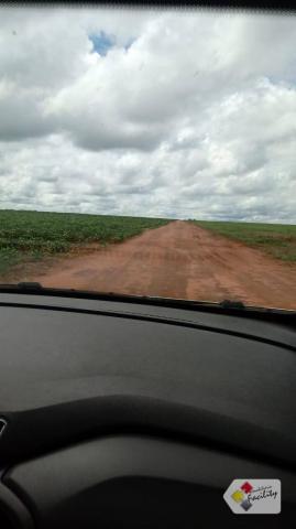 Fazenda de grãos em pontes e lacerda - mato grosso - Foto 17