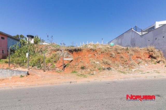 Terreno para alugar em Alto maracanã, Colombo cod:36400.001
