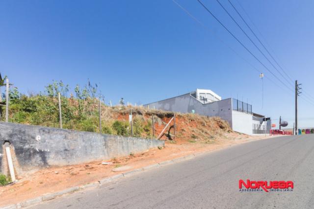 Terreno para alugar em Alto maracanã, Colombo cod:36400.001 - Foto 2