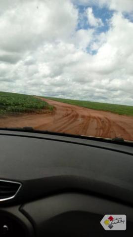 Fazenda de grãos em pontes e lacerda - mato grosso - Foto 16