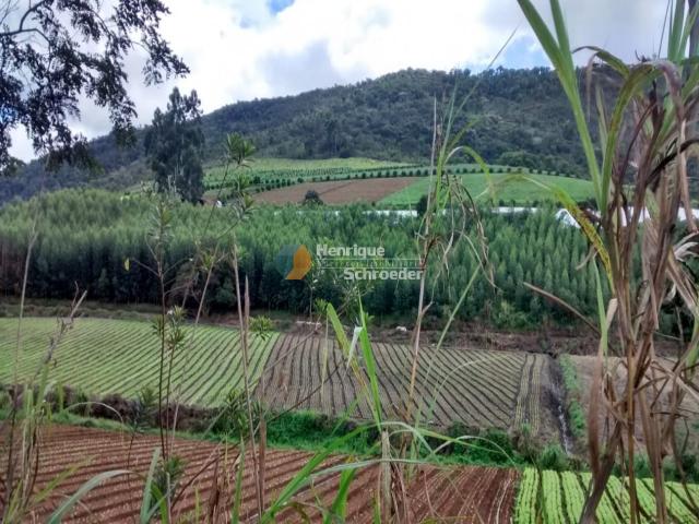 Fazenda produtiva, 116 ha, vale alpino, teresópolis, rj - Foto 7