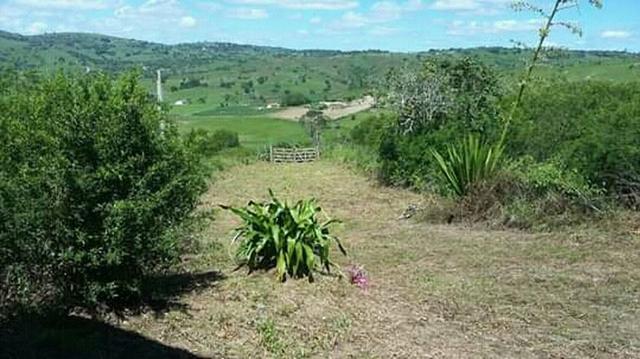 Sítio / Após mandacaru - Foto 3