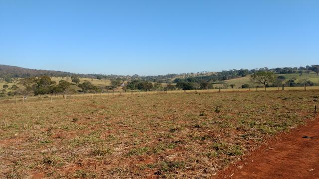 Chacara moradia lazer e valorização 4km de Caturaí - Foto 3