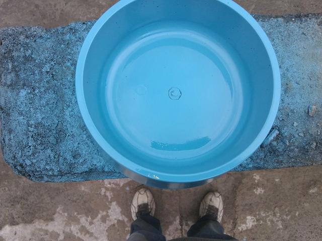 Comedouro de concreto para cães e gatos todos os tamanhos