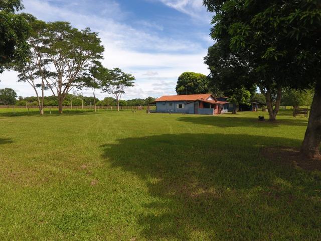 Chácara na região de Santo Antônio de Cuiabá com 32 HA Uma propriedade dos sonhos a 25 - Foto 16