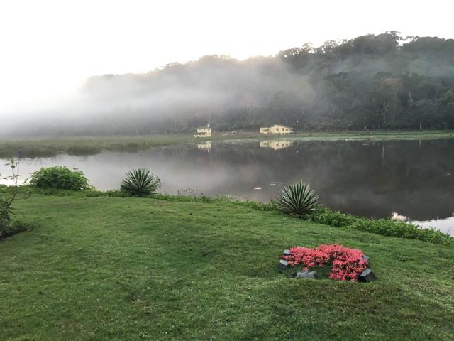 Fazenda de Cacau em Barro Preto BA - Foto 9