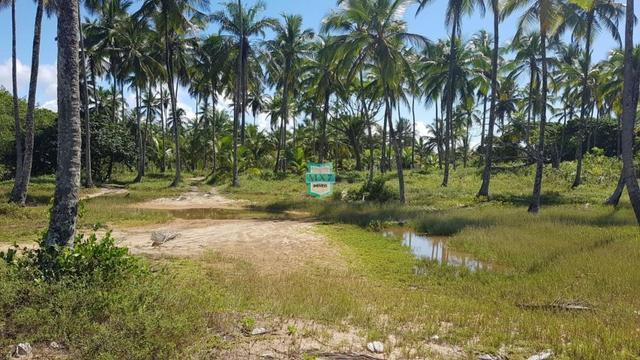 Maraú. Área para empreendimentos de condomínio ou resort hotel fazenda a beira do mar - Foto 9