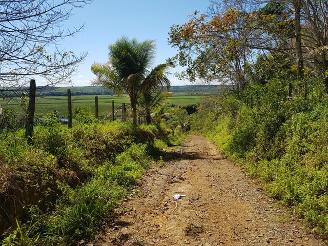 Vendo fazenda em Nova Almeida - Foto 9