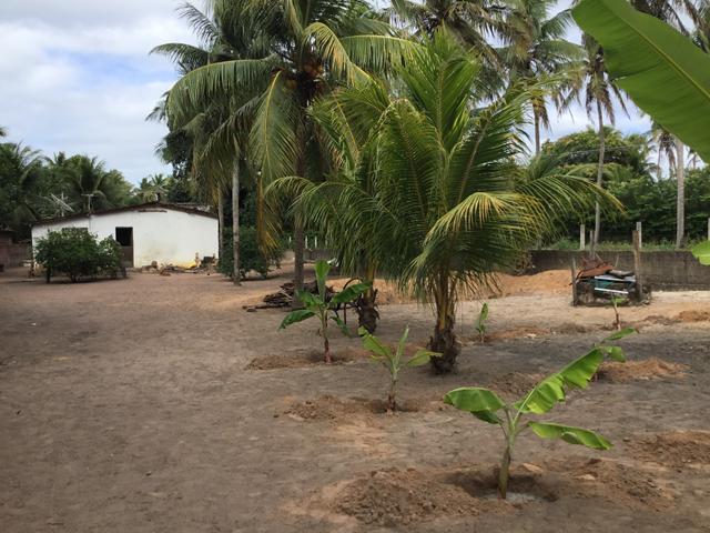 Sol 22 - Excelente Granja sendo 6385m² no Centro - São José de Mipibu - RN - Foto 7