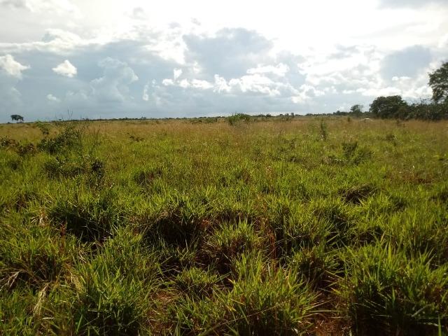 Fazenda no Mato Grosso em Rosário Oeste com 784 Hectares - Foto 6