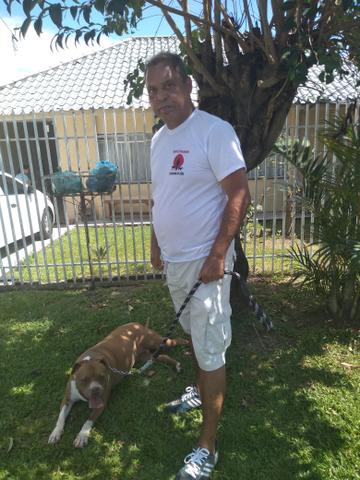 Passeador e Adestrador de cães - Foto 4