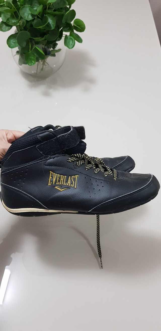 Bota Everlast para malhar e lutar - Esportes e ginástica - Vila da Serra,  Nova Lima 998848673 | OLX