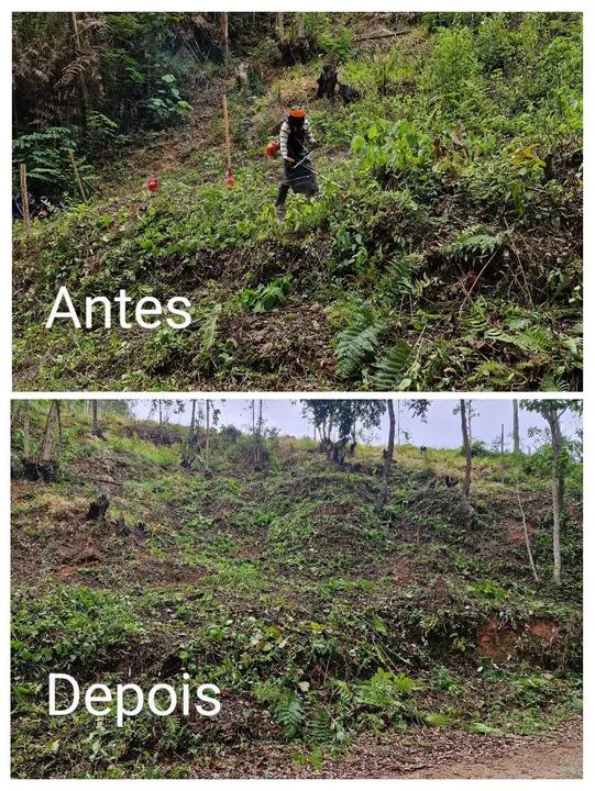 Limpeza de terrenos e lotes - Foto 2