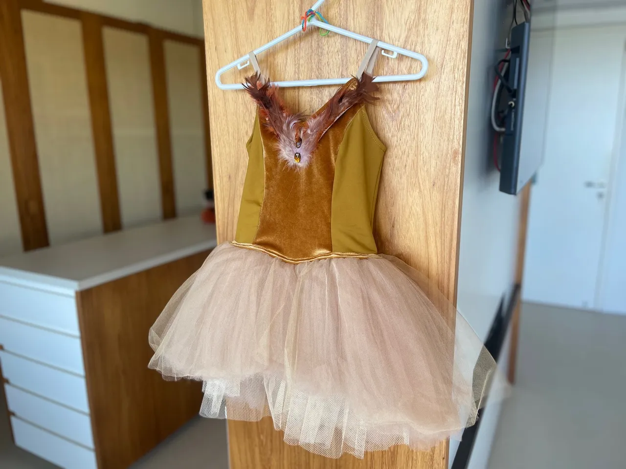 Vestido de bailarina infantil com penas e fantasia - pássaro