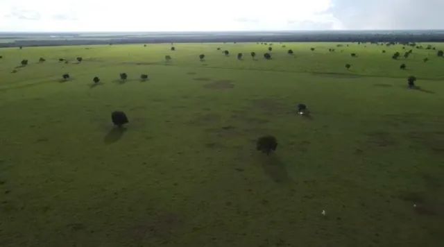 Fazenda de 944 alqueires em Britania-GO - Foto 3