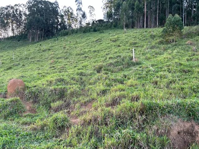 Represa Paraibuna-Redencao da Serra - Foto 3