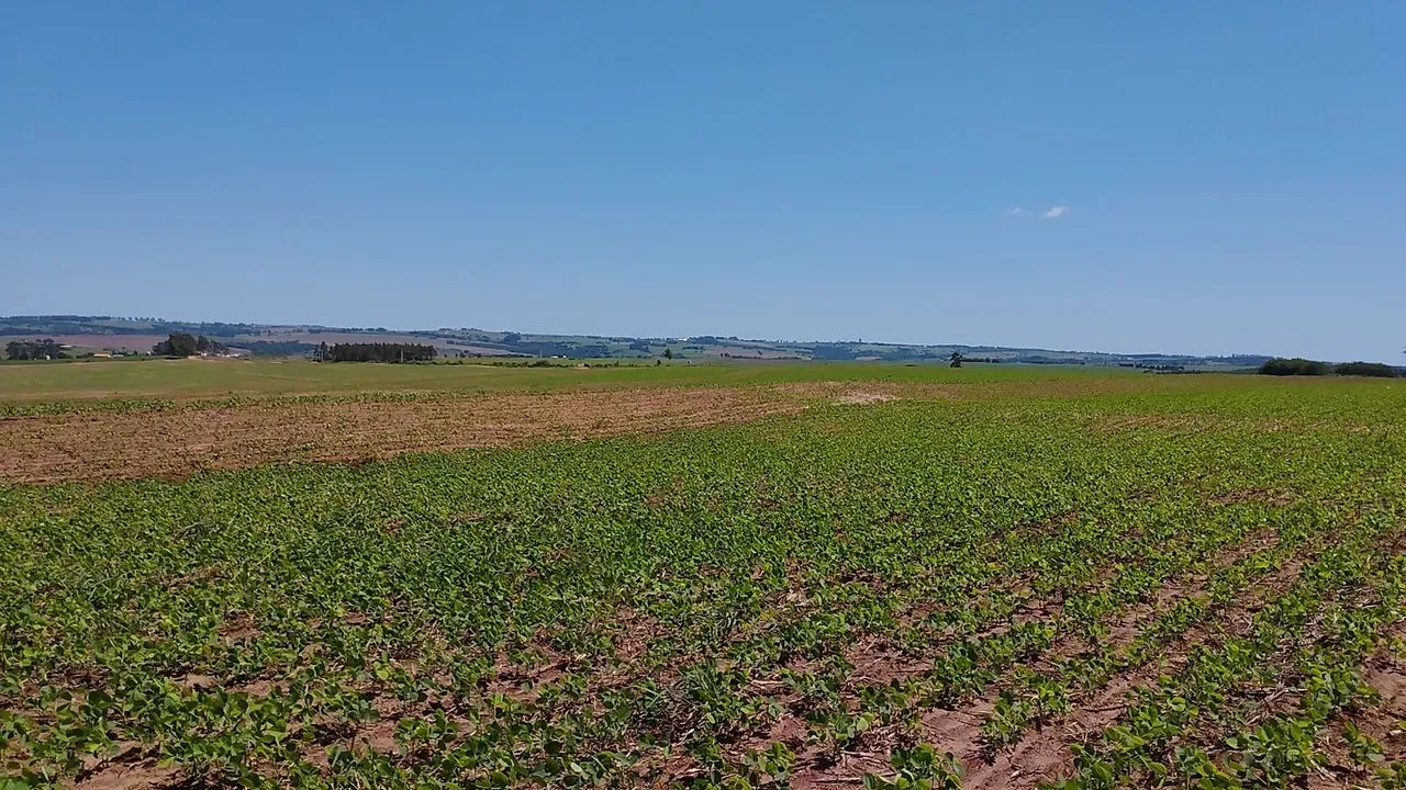 Área com 20.000m2 ,R$ 270.000,00 ,Presidente Castelo Branco-Pr - Foto 2