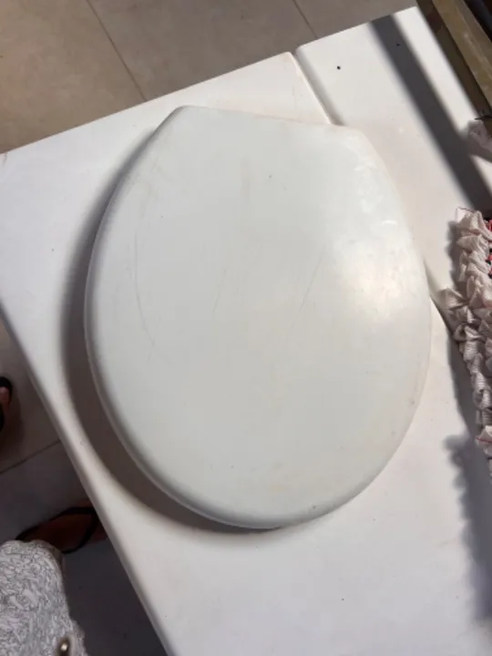 Assento vaso sanitário