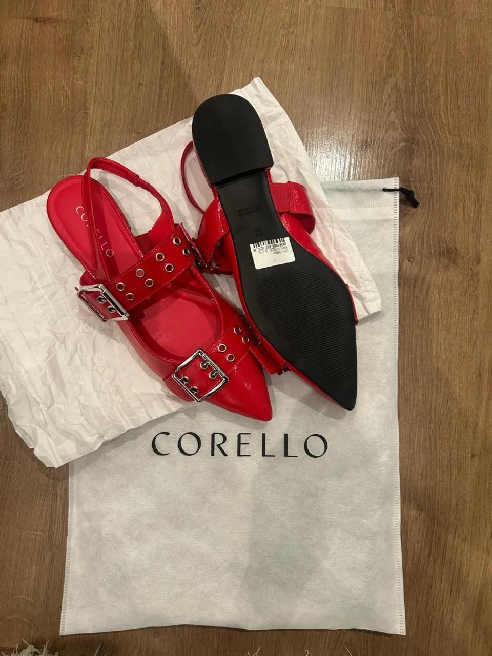 Sapato NOVO Corello
