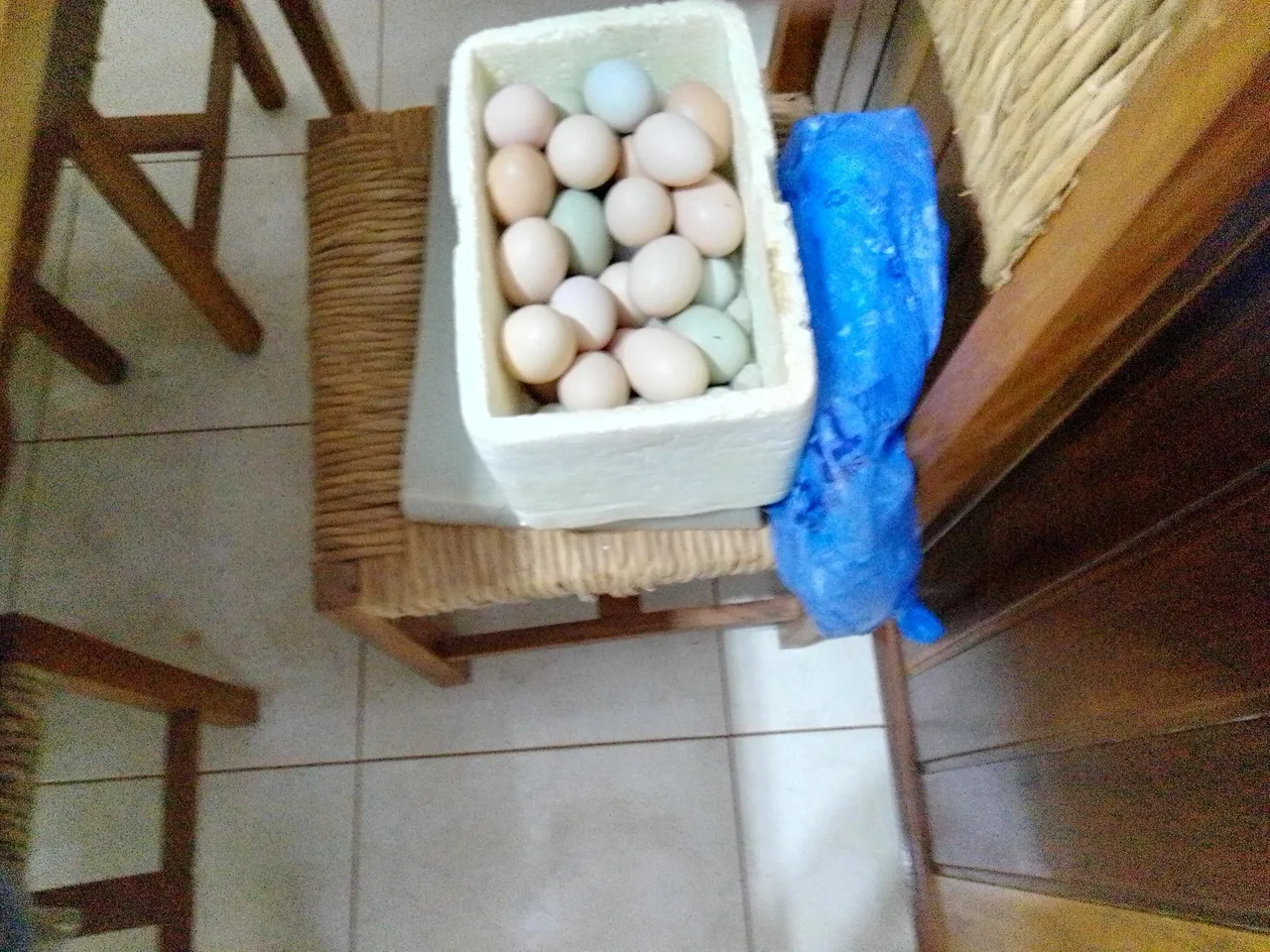 Ovos recém colhido da raça galinha bhama layt e darks