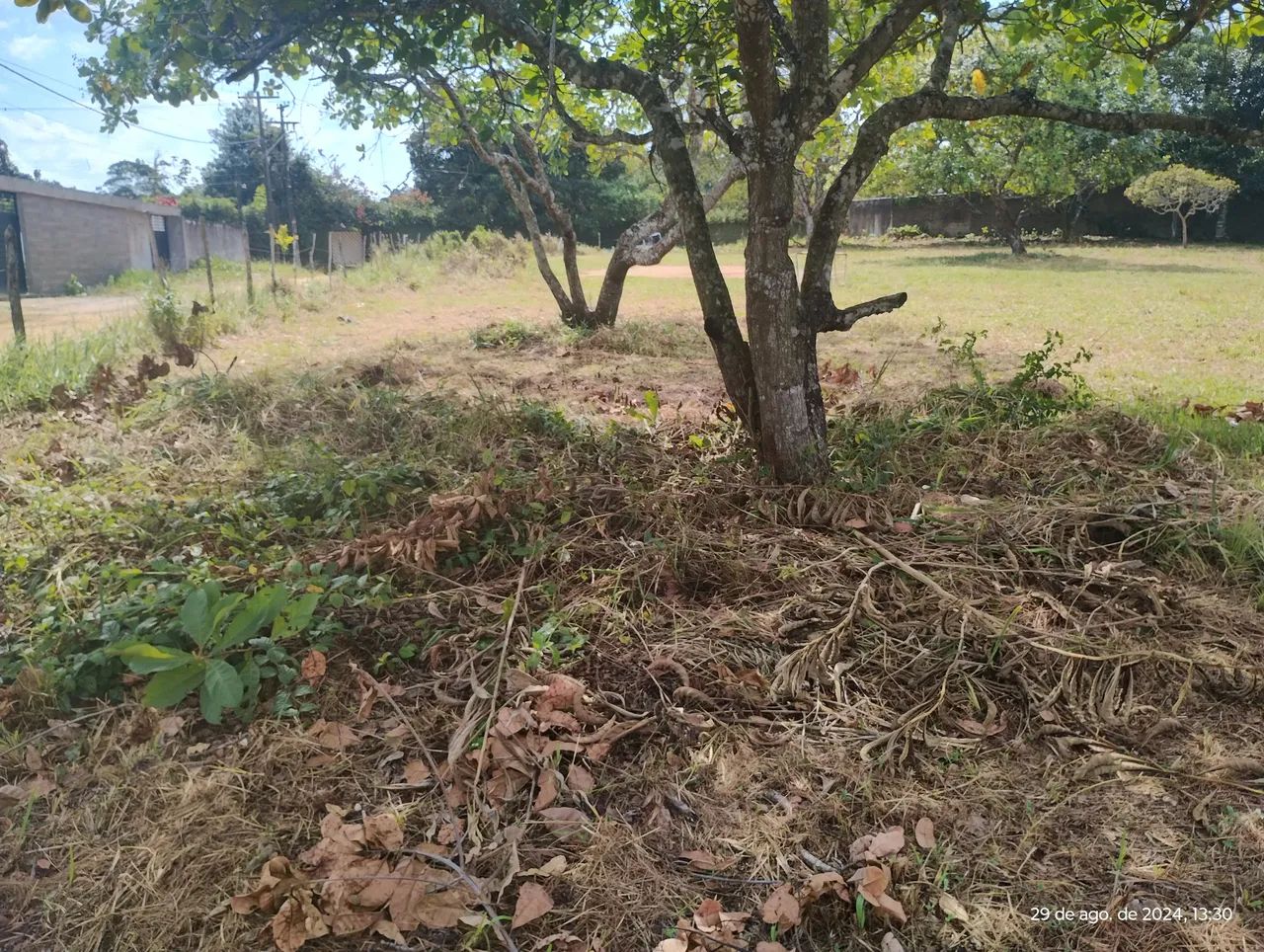 Área excelente em aldeia, nascente e de esquina. - Foto 15