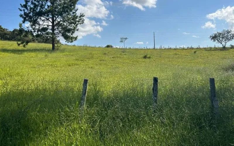 Bora sair da cidade grande? - Foto 3