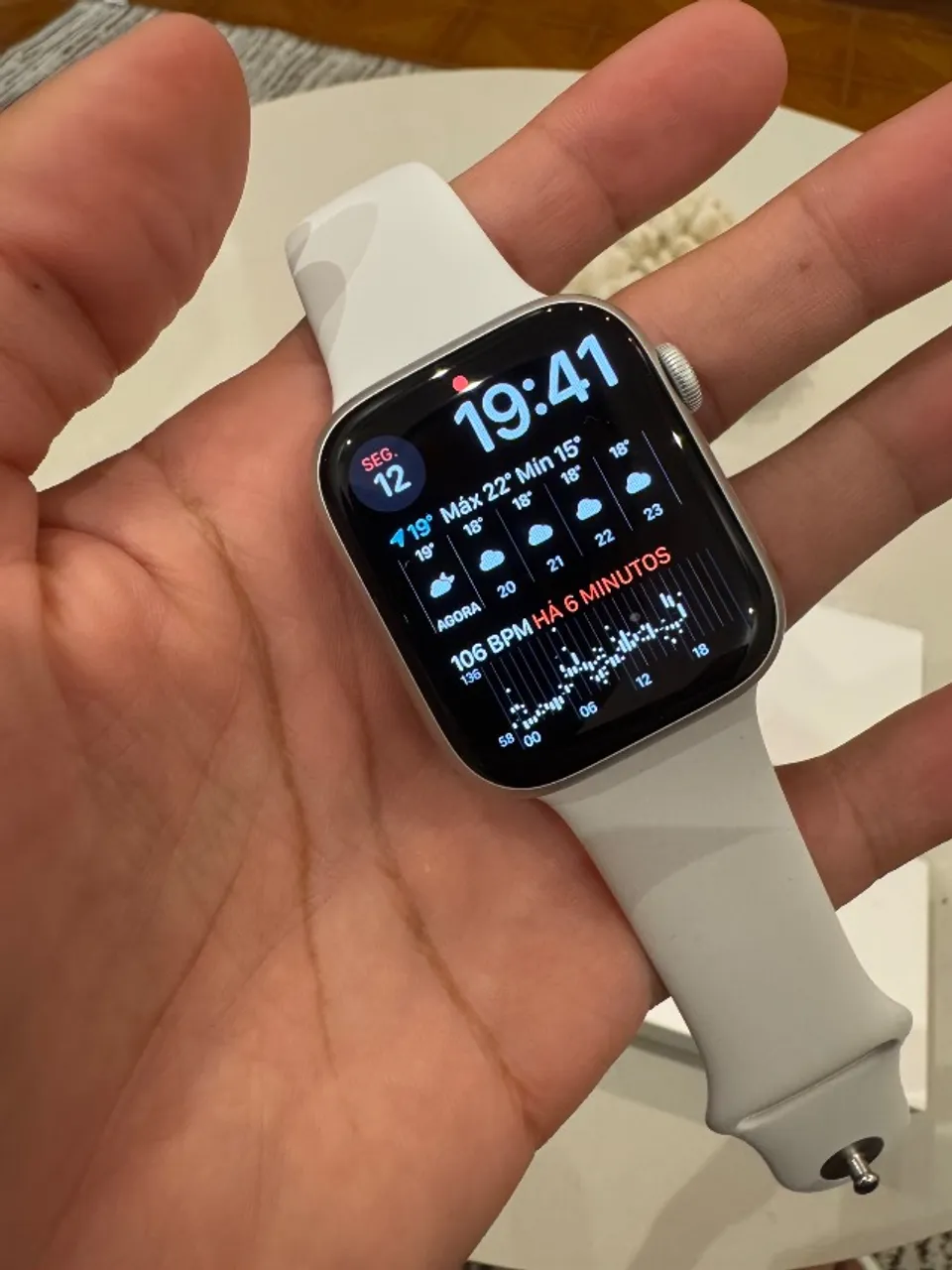 Apple Watch S8 45mm Silver