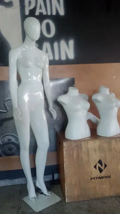 Manequins Femininos