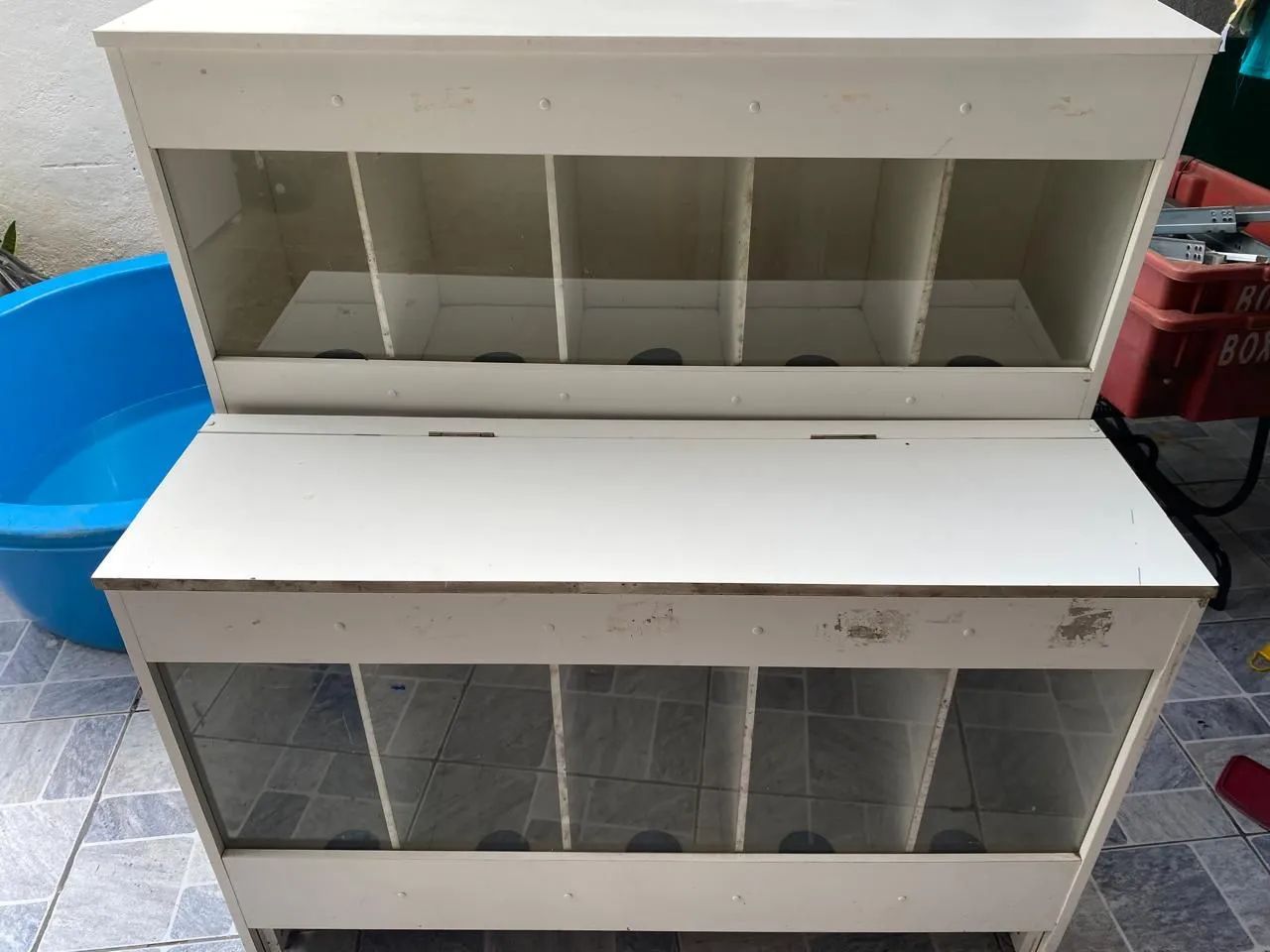 Expositor de ração  - Foto 4