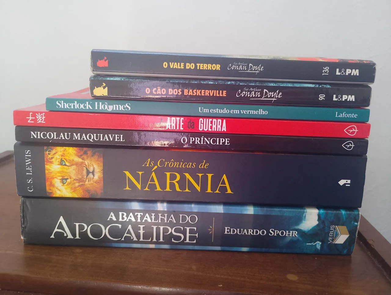 Coleção de Livros - Diversos Gêneros